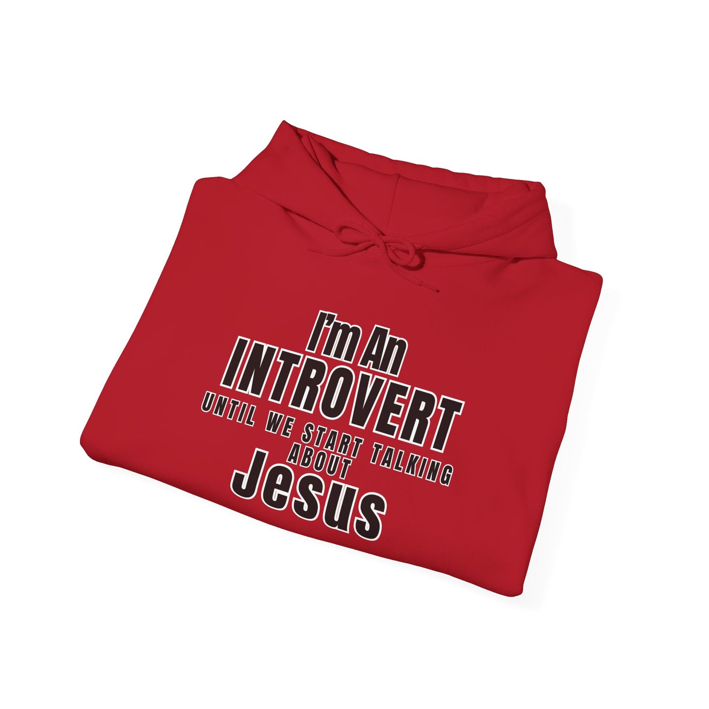 Introvert Hooded Sweatshirt